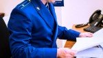 В Канаше направлено в суд уголовное дело в отношении местной жительницы, избившей своего сожителя электрогитарой